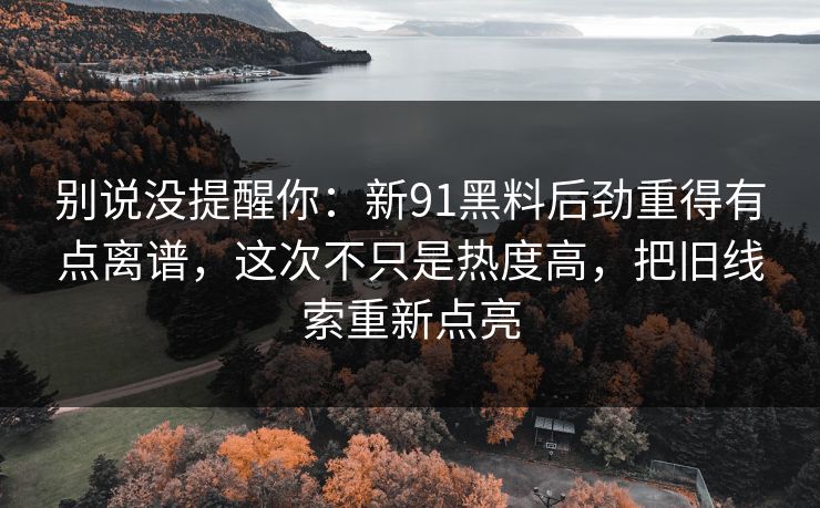 别说没提醒你：新91黑料后劲重得有点离谱，这次不只是热度高，把旧线索重新点亮
